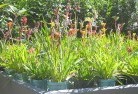 Wharparillaplant-nursery-17.jpg; ?>